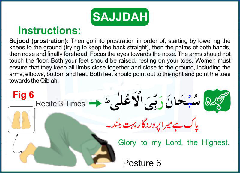 Sajdah | How To Pray Namaz | How to Pray Salah 