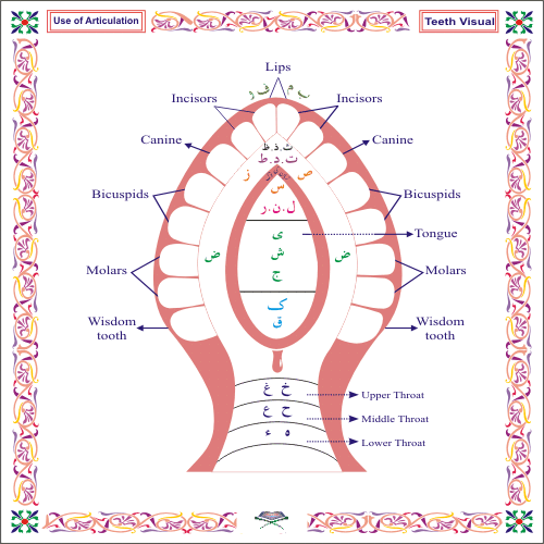 Rehmani Qaida - Noorani Qaida - Quran Qaida